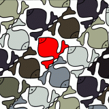 4juli2015visjes.kleurjpgB.gif