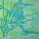 Bewerkt-ijsvogeltje-IMG_2049